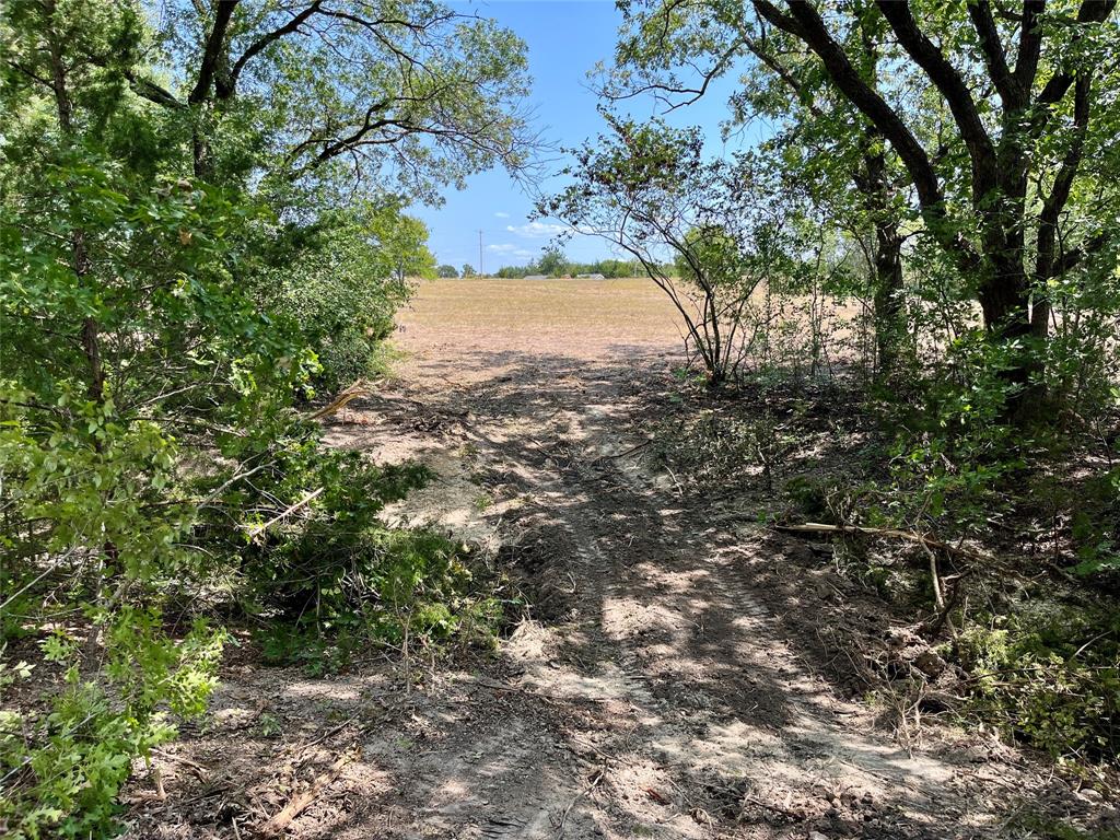 Tbd Tbd Tx-160, Unit OF Whitewright, TX 75491 - Photo 7 of 24 a view of a tree in a yard