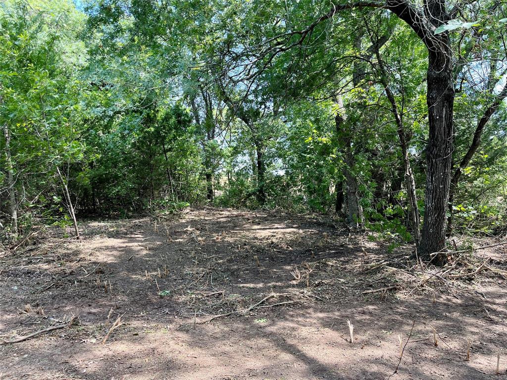 Tbd Tbd Tx-160, Unit OF Whitewright, TX 75491 - Photo 10 of 24 a view of a forest with trees in the background