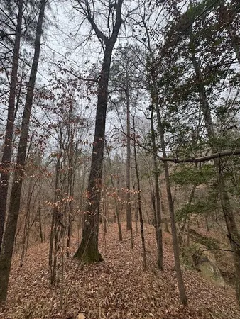 $250,000 | 0 Murray Road, Crosby, MS 39633
