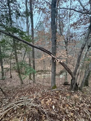 $250,000 | 0 Murray Road, Crosby, MS 39633