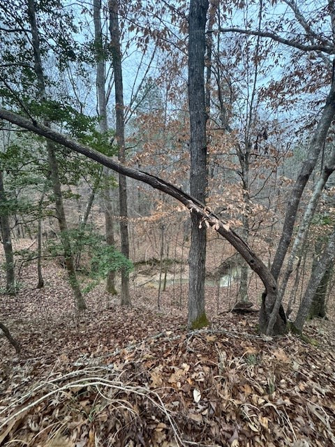 0 Murray Road Crosby, MS 39633 - Photo 12 of 28 Photo 12