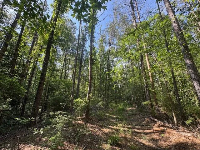 $250,000 | 0 Murray Road, Crosby, MS 39633