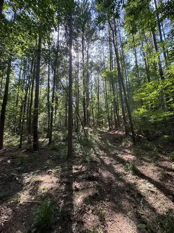 $250,000 | 0 Murray Road, Crosby, MS 39633