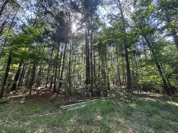 $250,000 | 0 Murray Road, Crosby, MS 39633