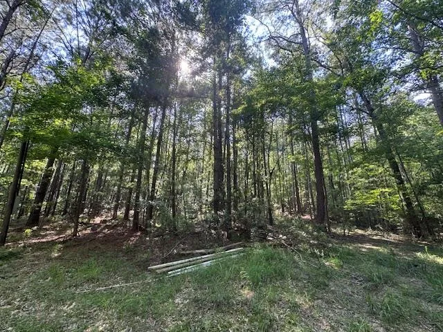 $250,000 | 0 Murray Road, Crosby, MS 39633