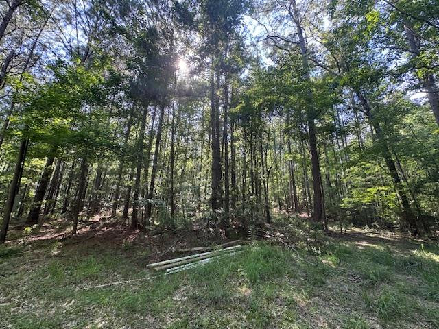 0 Murray Road Crosby, MS 39633 - Photo 17 of 28 Photo 17