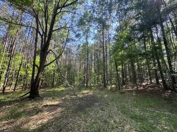 $250,000 | 0 Murray Road, Crosby, MS 39633