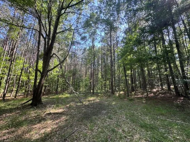 $250,000 | 0 Murray Road, Crosby, MS 39633