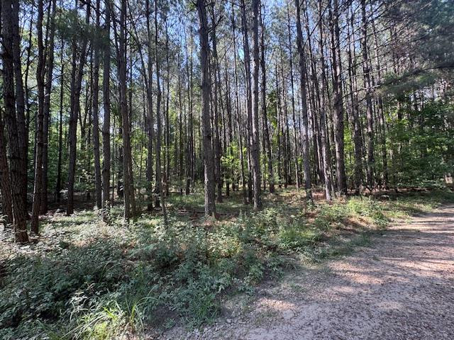 0 Murray Road Crosby, MS 39633 - Photo 19 of 28 Photo 19