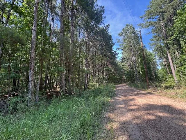 $250,000 | 0 Murray Road, Crosby, MS 39633