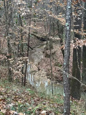 $250,000 | 0 Murray Road, Crosby, MS 39633