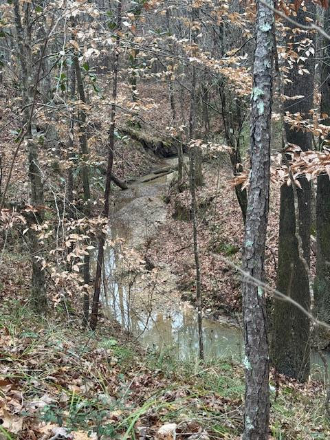 0 Murray Road Crosby, MS 39633 - Photo 2 of 28 Photo 2