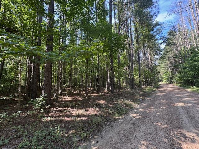 0 Murray Road Crosby, MS 39633 - Photo 22 of 28 Photo 22