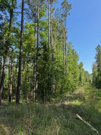$250,000 | 0 Murray Road, Crosby, MS 39633
