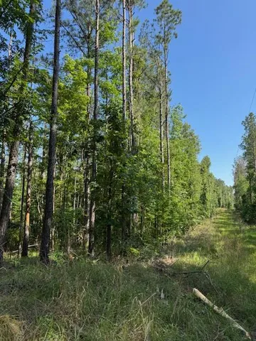 $250,000 | 0 Murray Road, Crosby, MS 39633