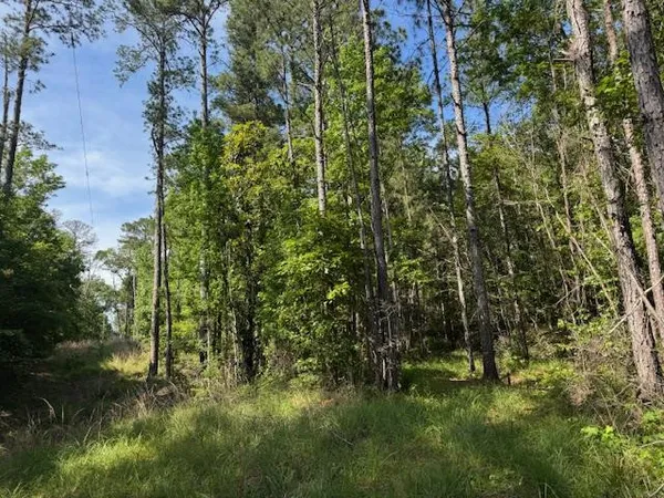 $250,000 | 0 Murray Road, Crosby, MS 39633