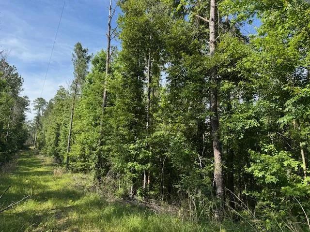 $250,000 | 0 Murray Road, Crosby, MS 39633