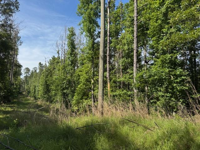 0 Murray Road Crosby, MS 39633 - Photo 26 of 28 Photo 26
