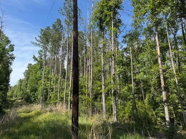 $250,000 | 0 Murray Road, Crosby, MS 39633