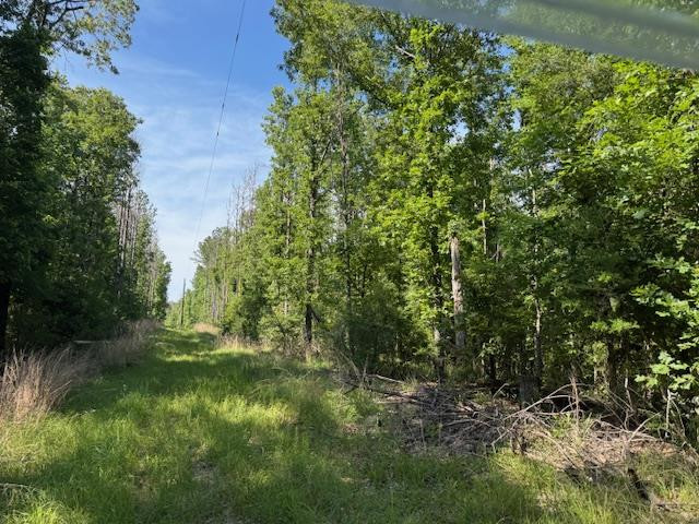 0 Murray Road Crosby, MS 39633 - Photo 28 of 28 Photo 28