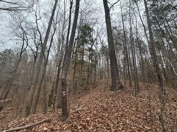 $250,000 | 0 Murray Road, Crosby, MS 39633