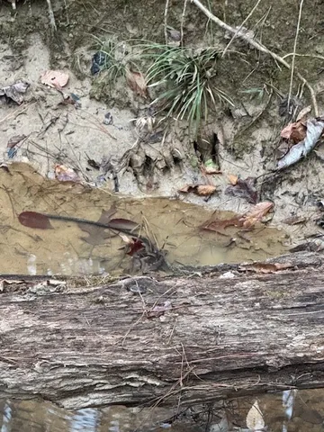 $250,000 | 0 Murray Road, Crosby, MS 39633