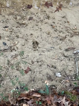 $250,000 | 0 Murray Road, Crosby, MS 39633