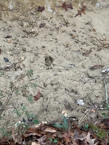 $250,000 | 0 Murray Road, Crosby, MS 39633