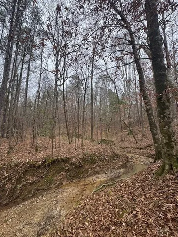 $250,000 | 0 Murray Road, Crosby, MS 39633