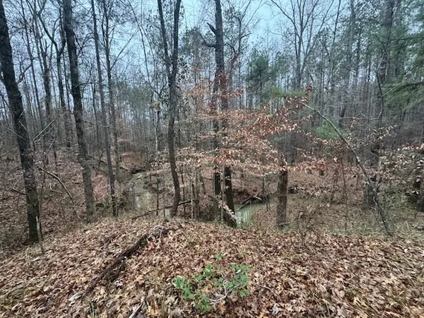 $250,000 | 0 Murray Road, Crosby, MS 39633