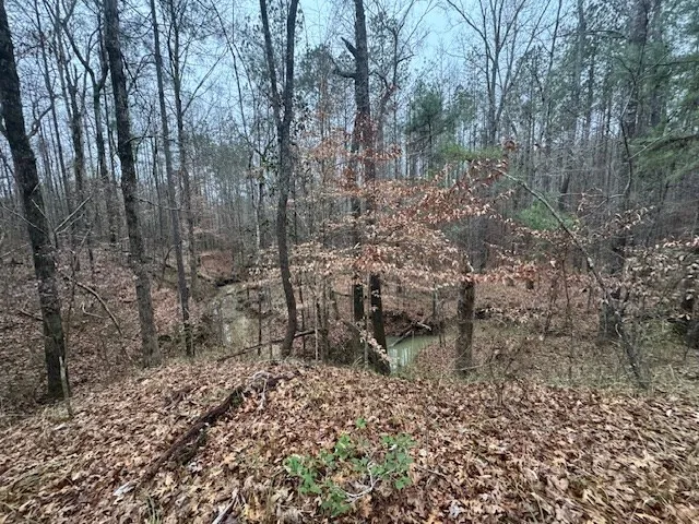 $250,000 | 0 Murray Road, Crosby, MS 39633