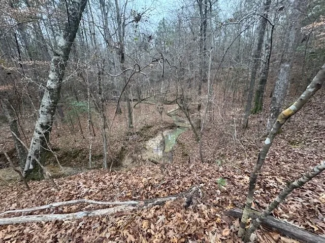 $250,000 | 0 Murray Road, Crosby, MS 39633