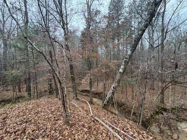 $250,000 | 0 Murray Road, Crosby, MS 39633