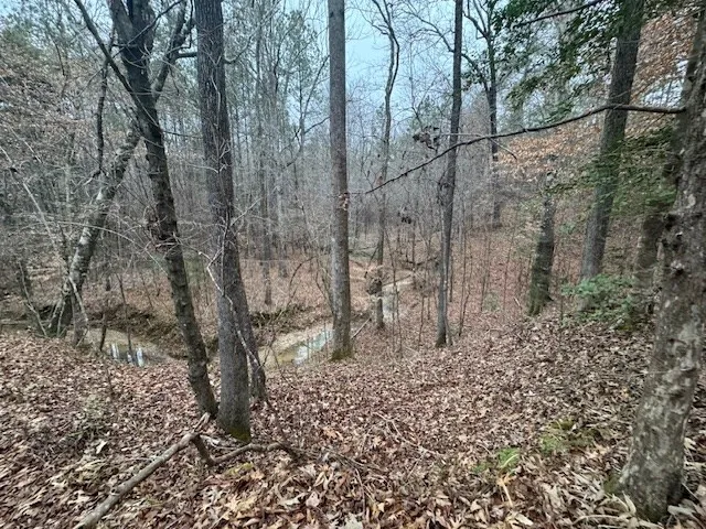 $250,000 | 0 Murray Road, Crosby, MS 39633