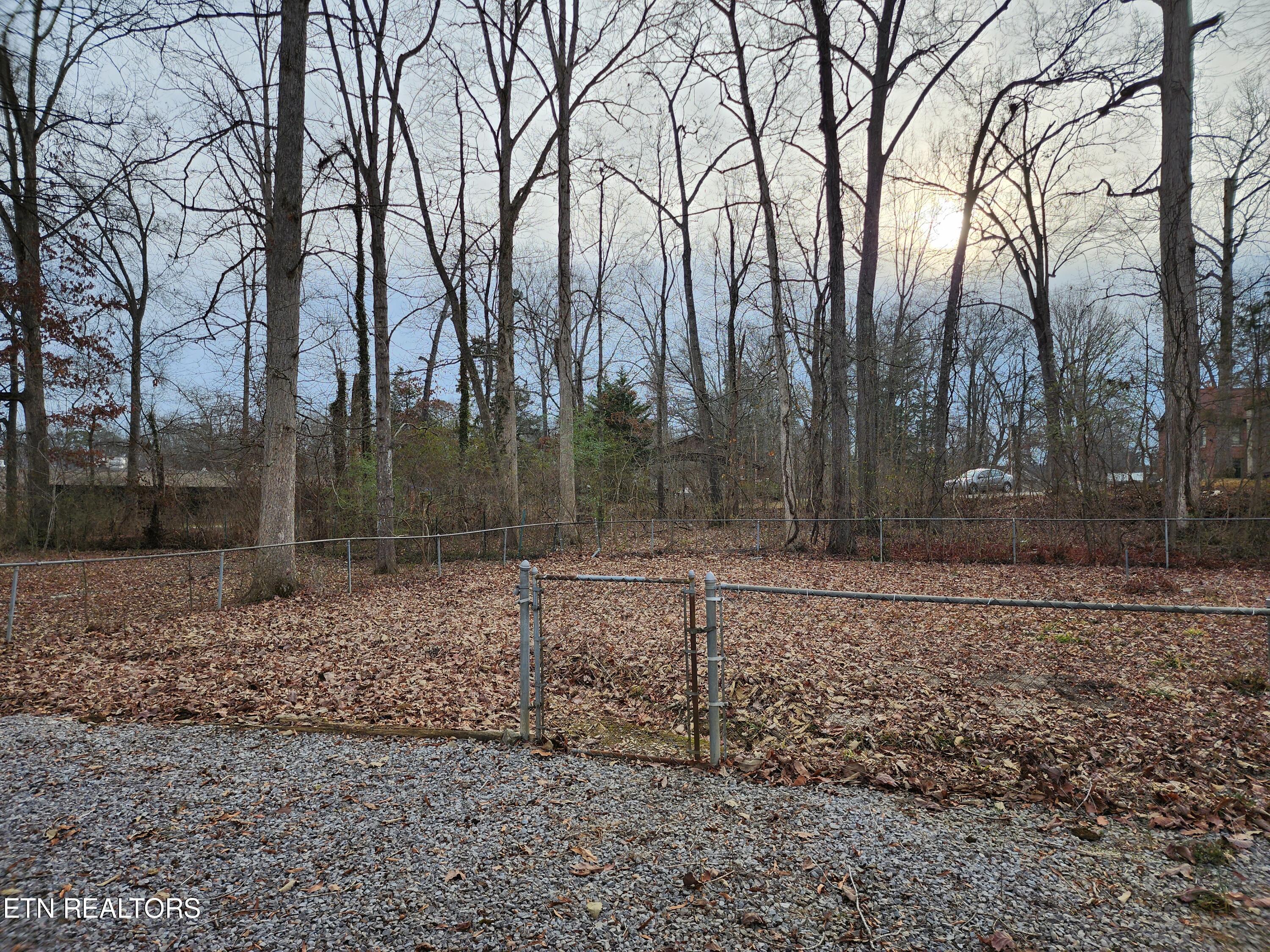 154 Manhattan Avenue Oak Ridge, TN 37830 - Photo 10 of 28 Backyard