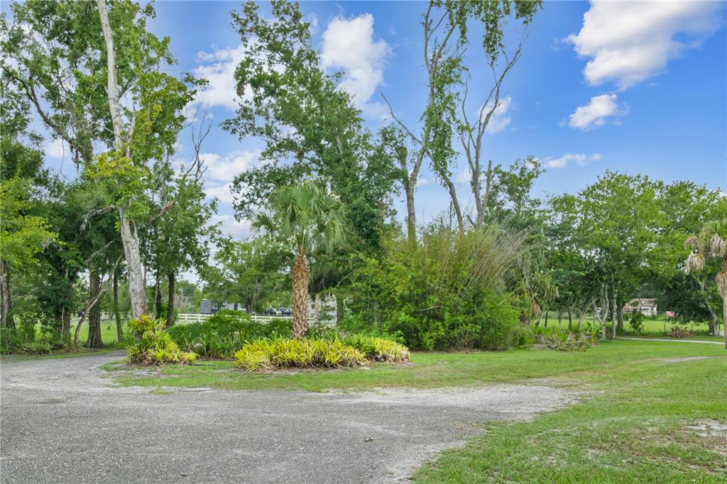 2650 20 Mile Level Road Land O' Lakes, FL 34639 - Photo 5 of 65