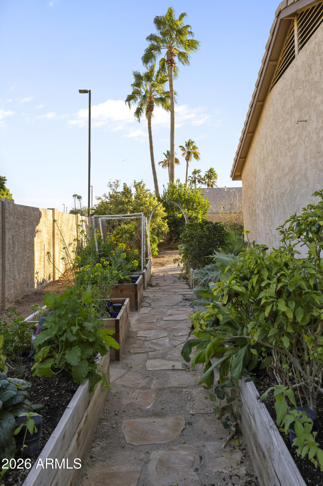 2519 East Rawhide Street Gilbert, AZ 85296 - Photo 19 of 35 a view of a garden with a tree
