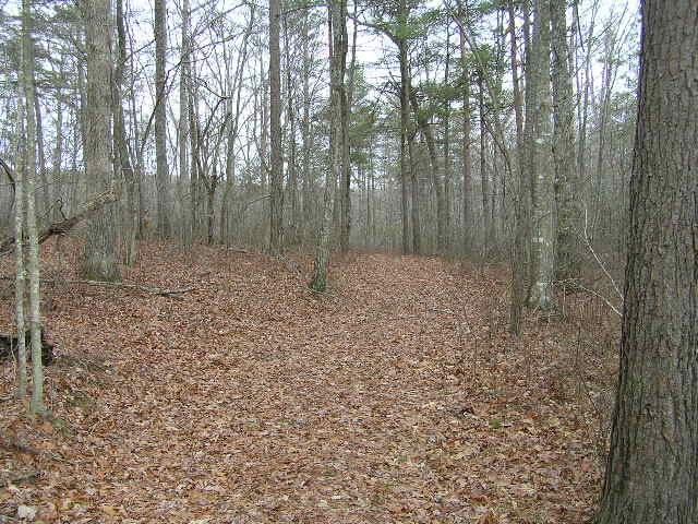 1175 Deerhead Road Dunlap, TN 37327 - Photo 14 of 28 Lewis 001