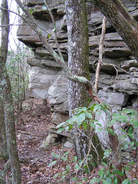 1175 Deerhead Road Dunlap, TN 37327 - Photo 17 of 28 Lewis 006