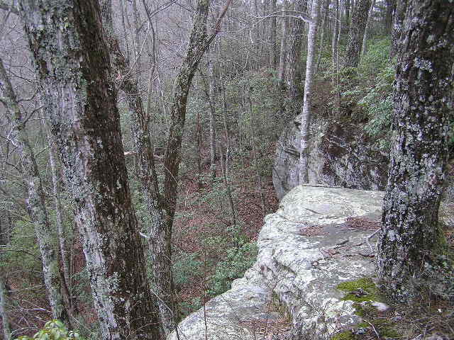 1175 Deerhead Road Dunlap, TN 37327 - Photo 18 of 28 No.1