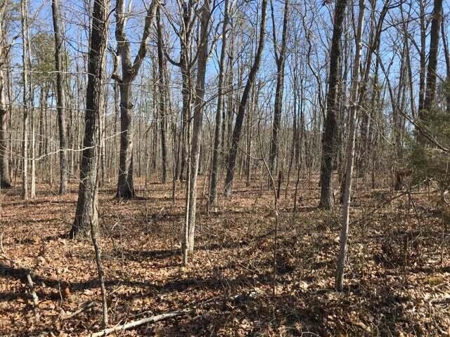 1175 Deerhead Road Dunlap, TN 37327 - Photo 20 of 28 dd