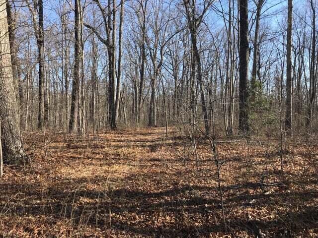 1175 Deerhead Road Dunlap, TN 37327 - Photo 23 of 28 dd7
