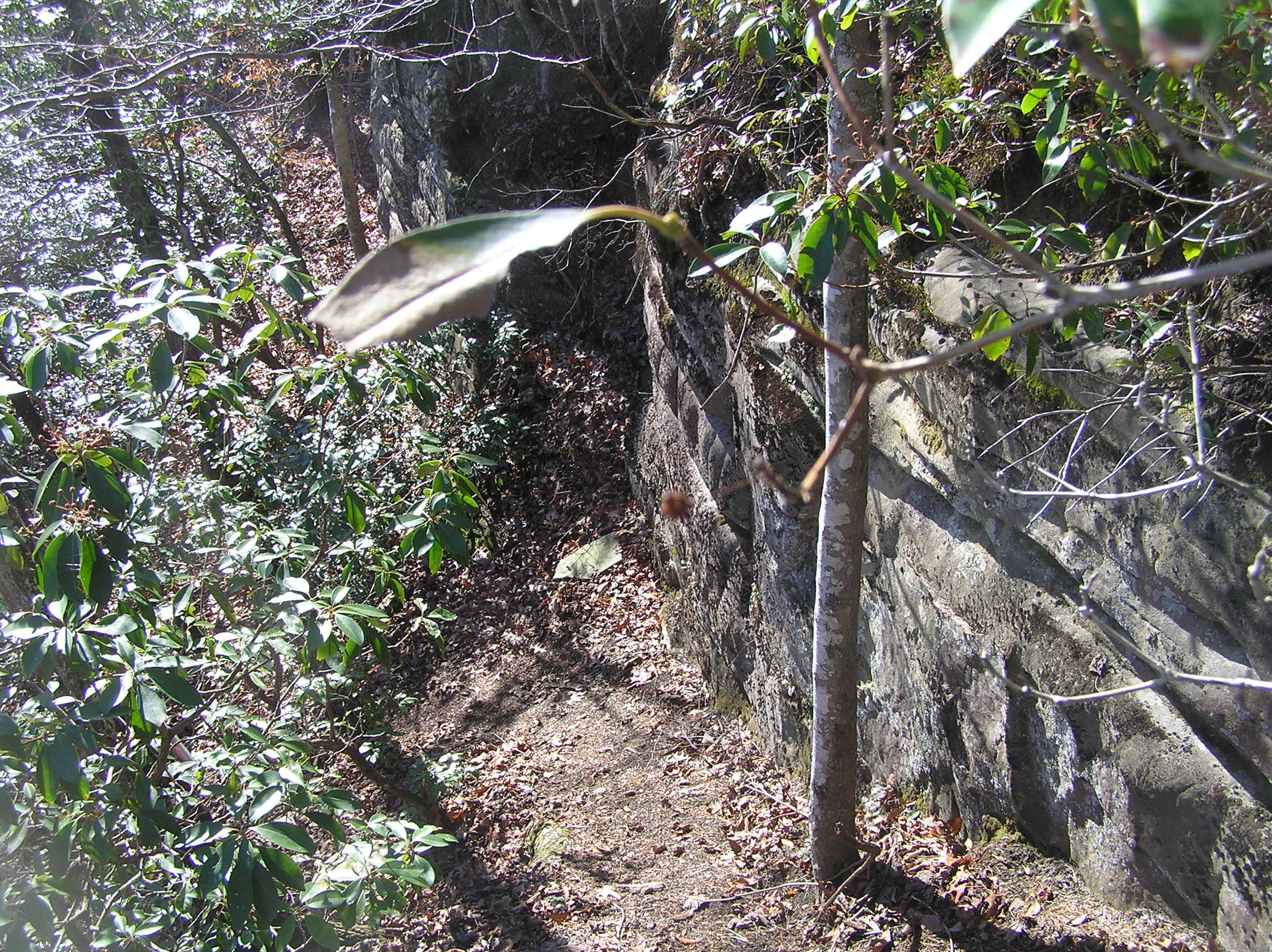 1175 Deerhead Road Dunlap, TN 37327 - Photo 24 of 28 P1010001