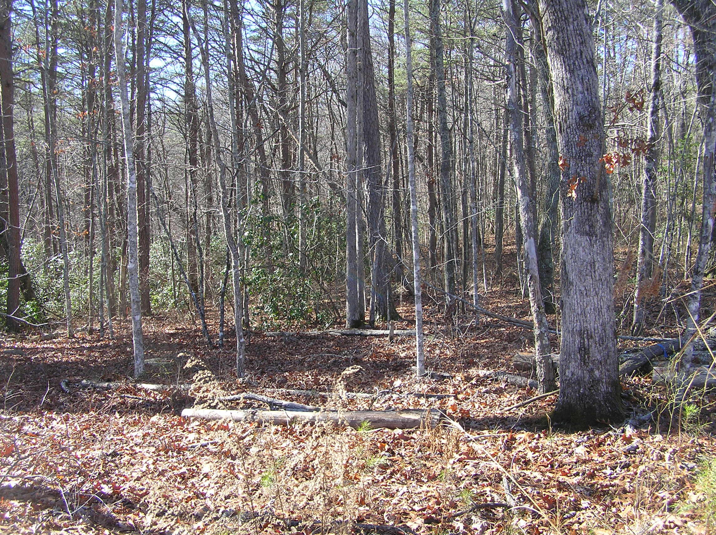 1175 Deerhead Road Dunlap, TN 37327 - Photo 26 of 28 P1010003