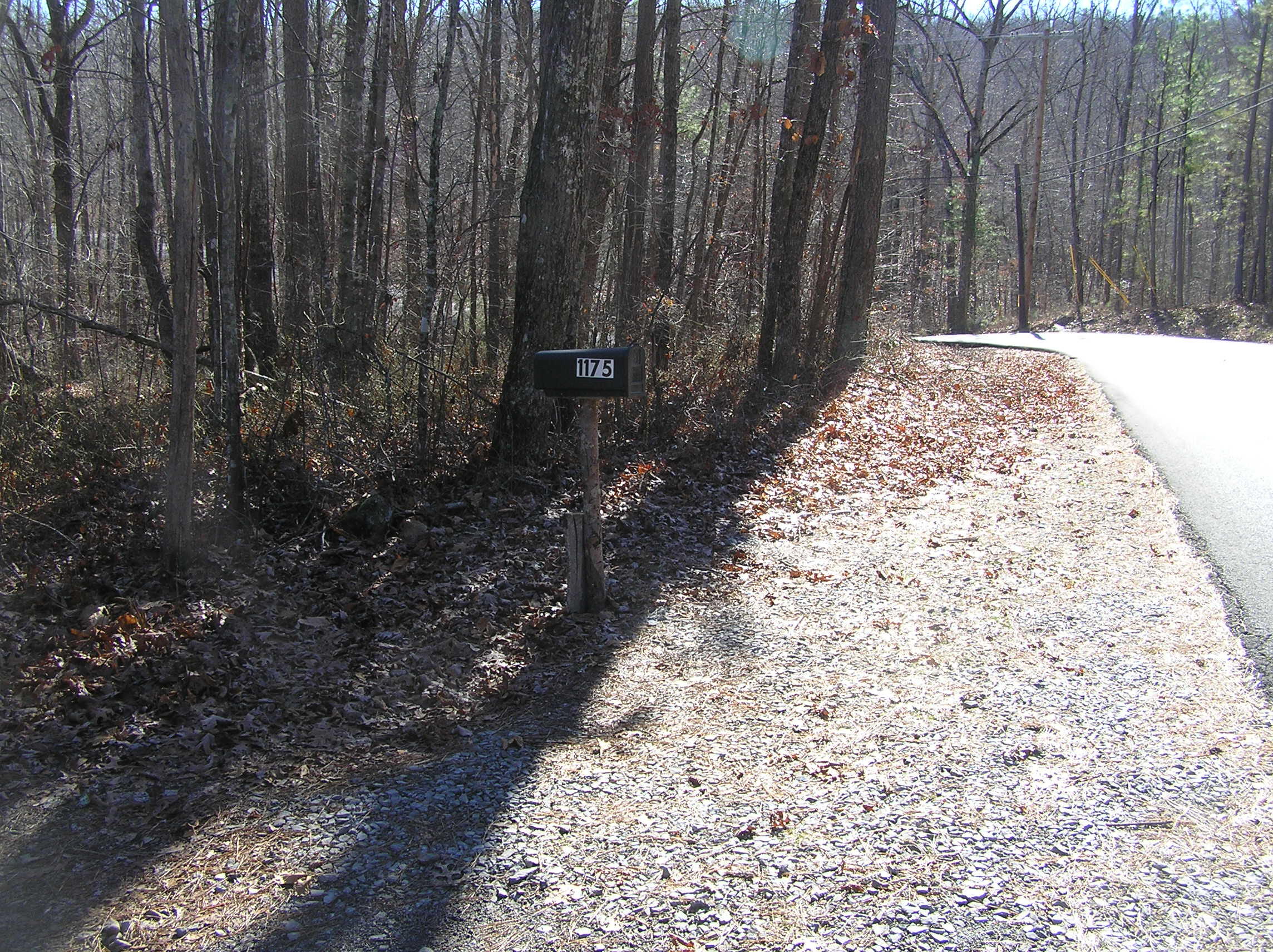 1175 Deerhead Road Dunlap, TN 37327 - Photo 27 of 28 P1010007
