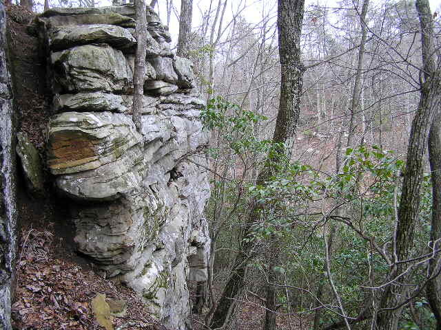 1175 Deerhead Road Dunlap, TN 37327 - Photo 3 of 28 Lewis 005