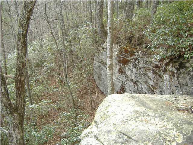 1175 Deerhead Road Dunlap, TN 37327 - Photo 5 of 28 deer