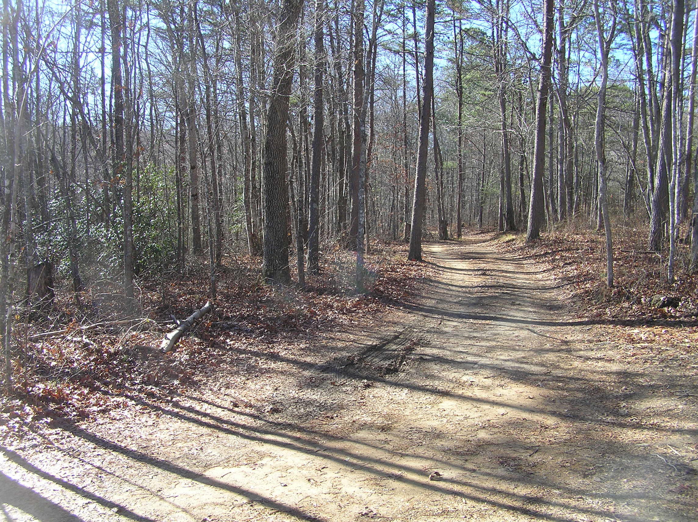 1175 Deerhead Road Dunlap, TN 37327 - Photo 6 of 28 P1010004