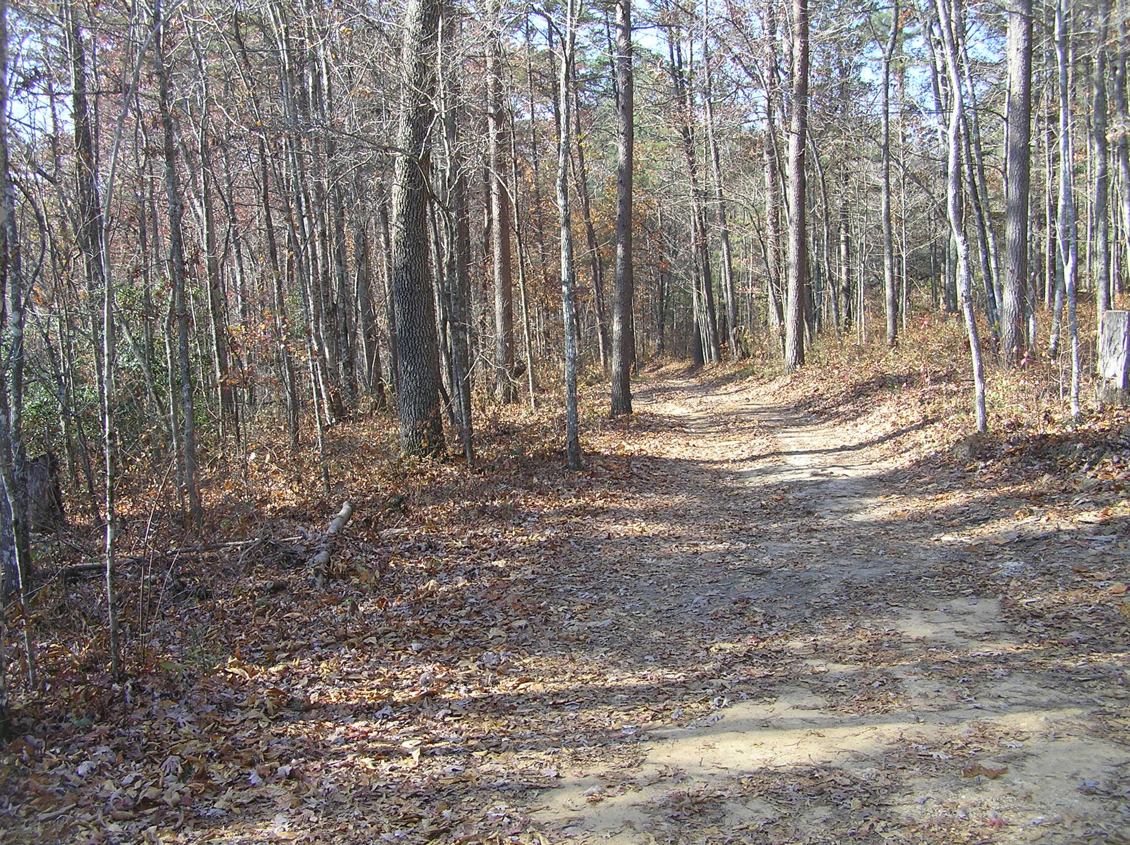 1175 Deerhead Road Dunlap, TN 37327 - Photo 7 of 28 deerhead 006