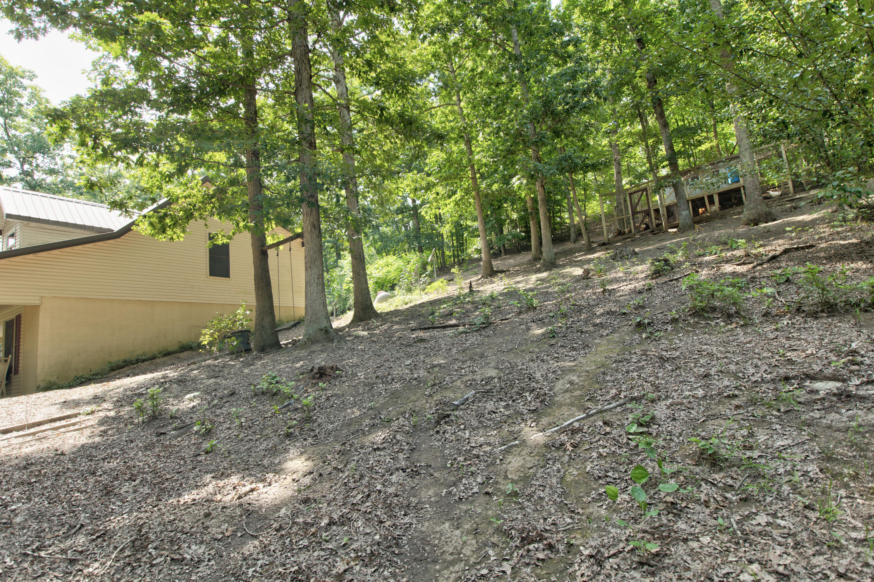 484 Old Log Lick Road Winchester, KY 40391 - Photo 31 of 43 261A9499_500_501